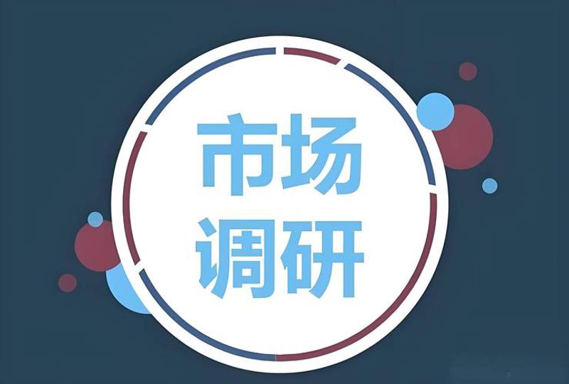 市场调研选购指南：为企业决策提供精准数据支持